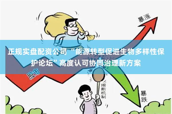 正规实盘配资公司 “能源转型促进生物多样性保护论坛”高度认可协同治理新方案