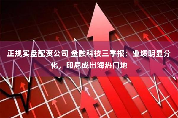 正规实盘配资公司 金融科技三季报：业绩明显分化，印尼成出海热门地